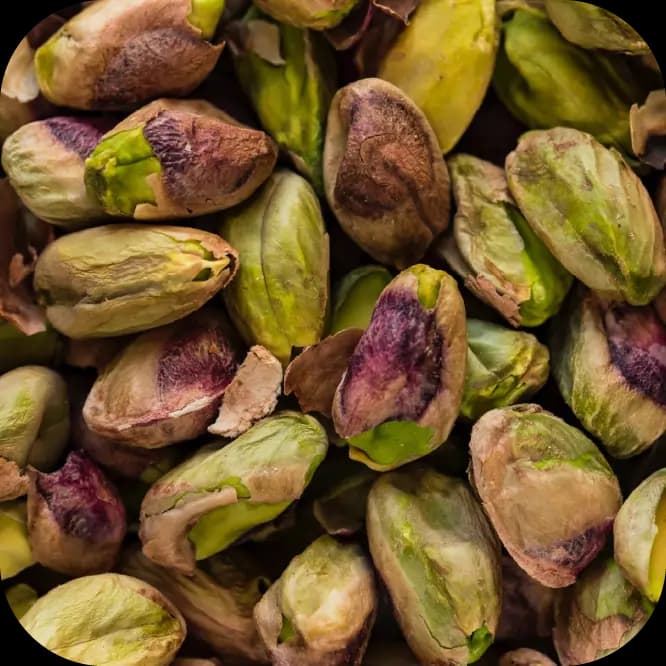 Pistachio