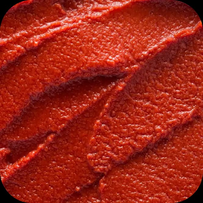 Tomato Paste