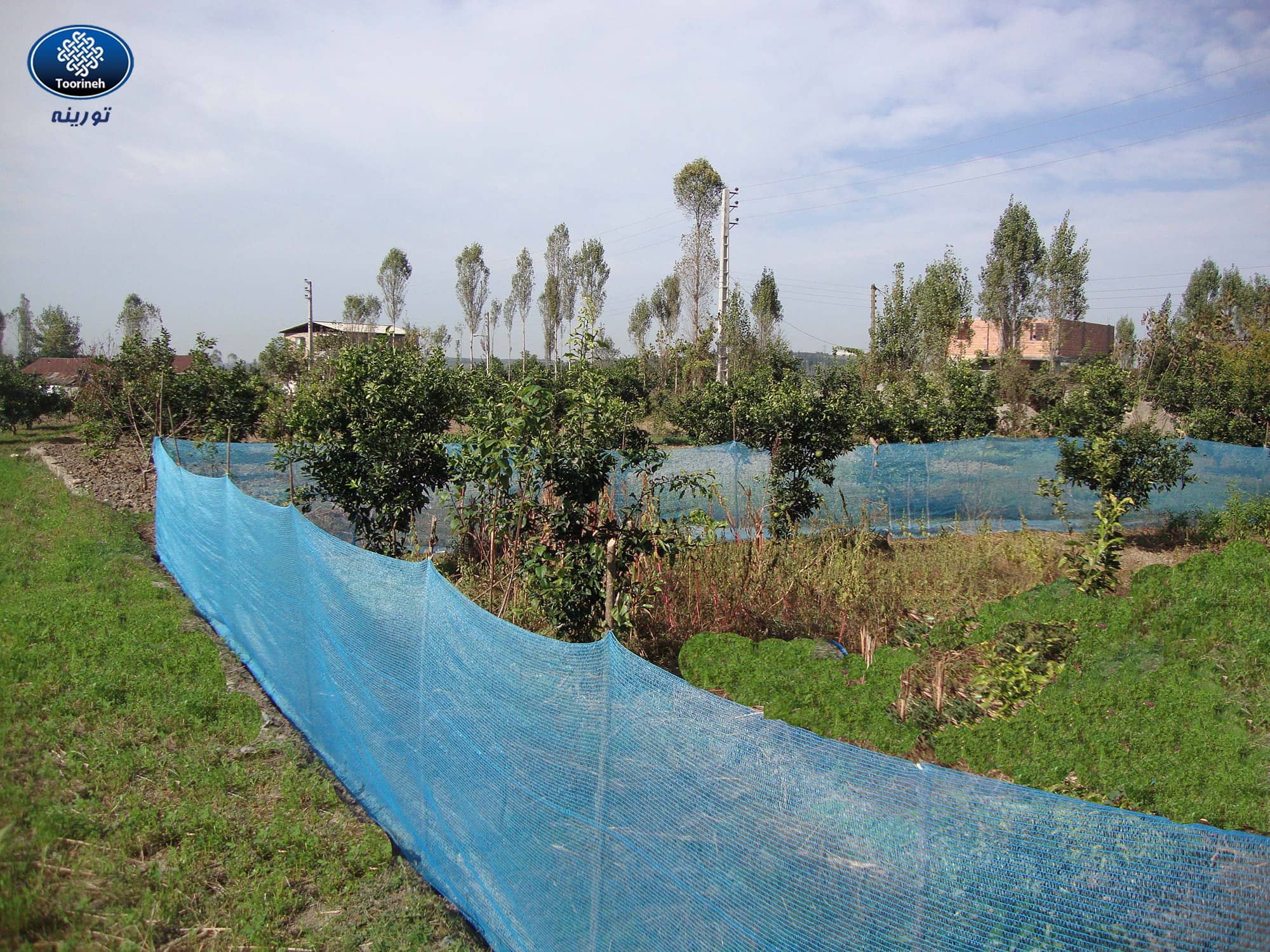 Plastic Mesh Fence Net (Polyethylene Fence Netting)