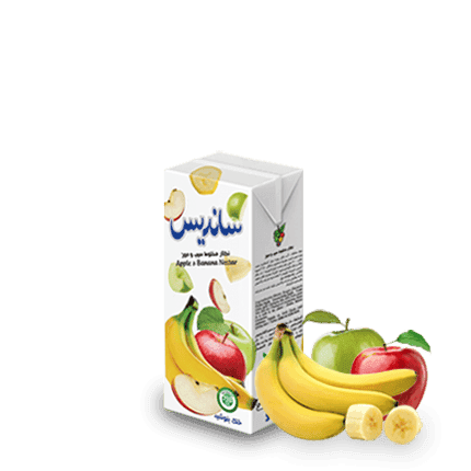 Sanariss Assorted Fruit Nectar 200 ml Tetra Pak