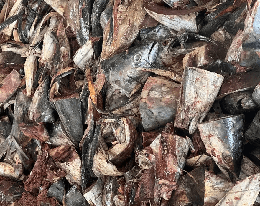 Fish powder from whole fish (by-catch)