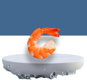 Frozen Headless Shrimp