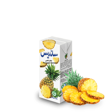 Sanariss Assorted Fruit Nectar 200 ml Tetra Pak