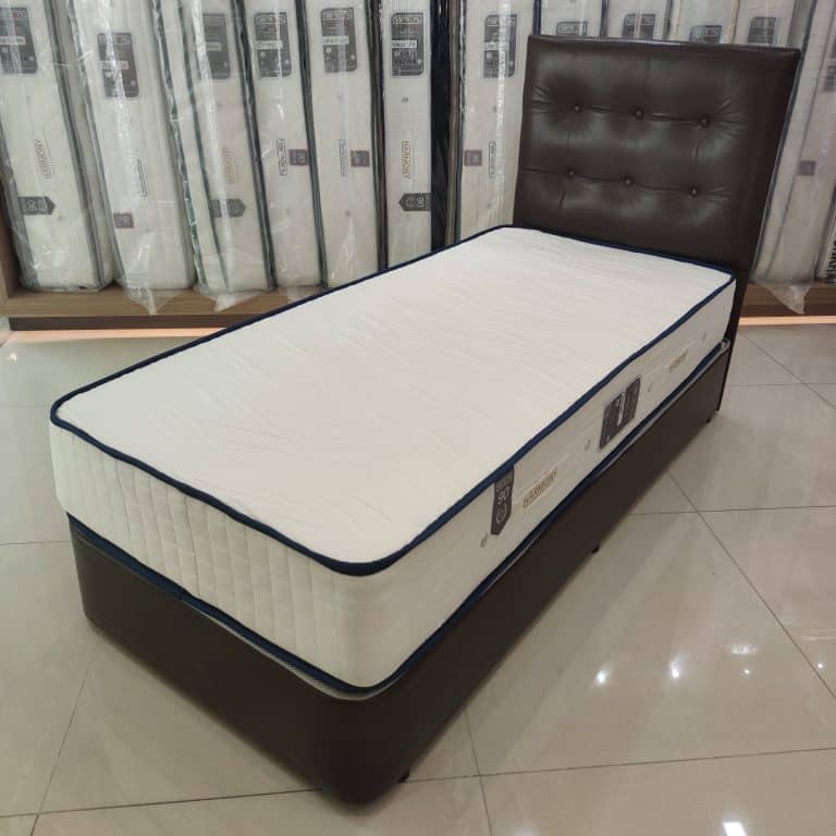 Harmony Ortho Foam Mattress (Springless Medical Mattress)
