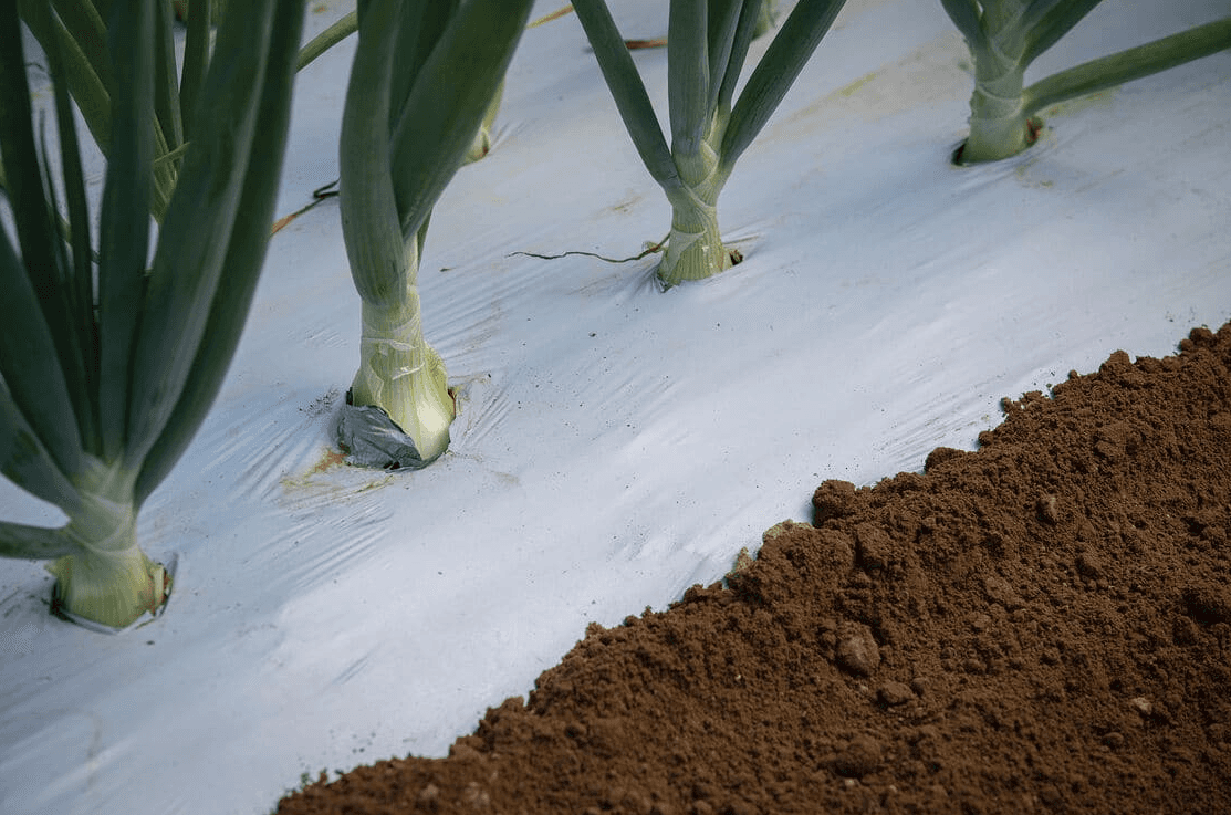Cucurbits nylons -  Agricultural Greenhouse Nylon