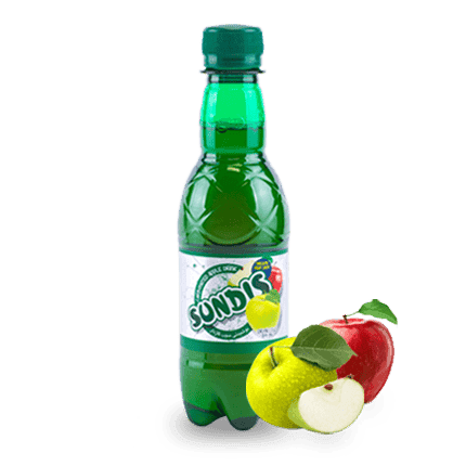 SUNDIS Assorted Sparkling Fruit Drinks  PET Bottle (Mini Size)