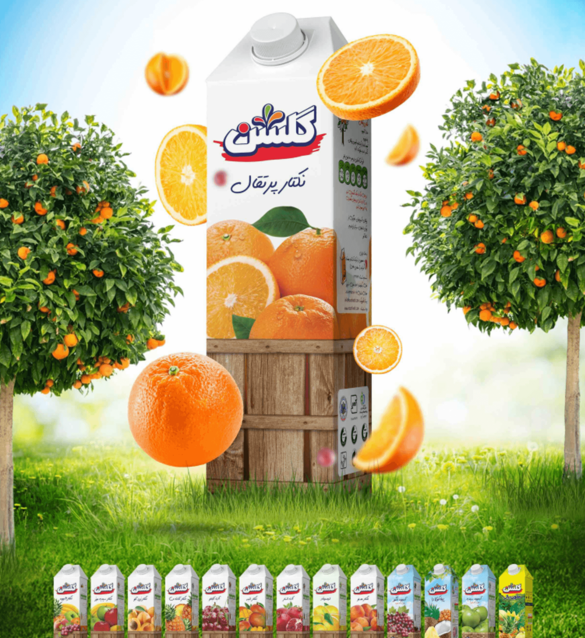 Orange Nectar Drink