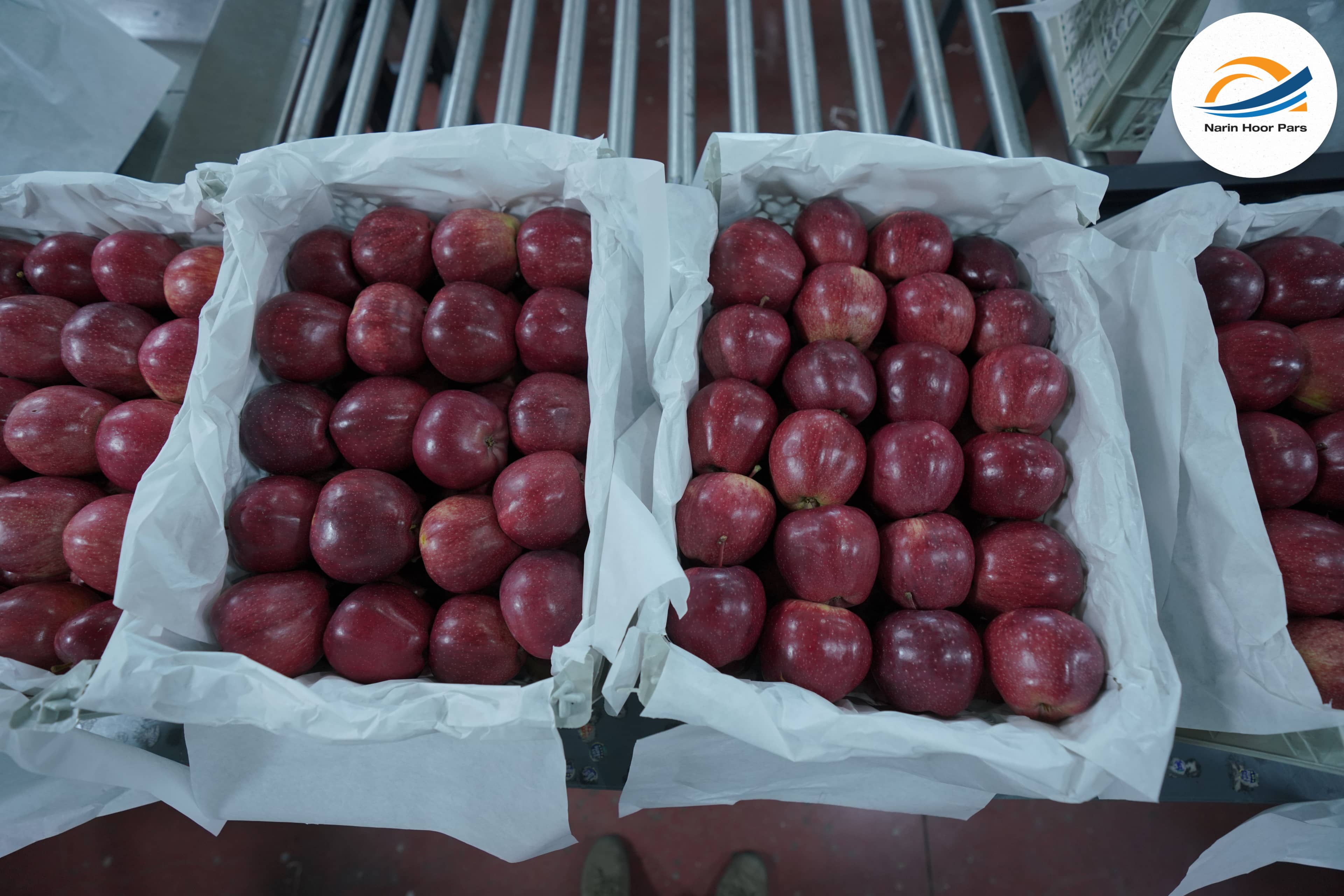 Fresh Red Apples