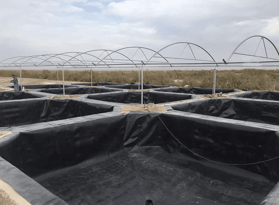 Pool Plastic Liner