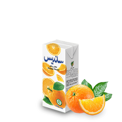 Sanariss Assorted Fruit Nectar 200 ml Tetra Pak