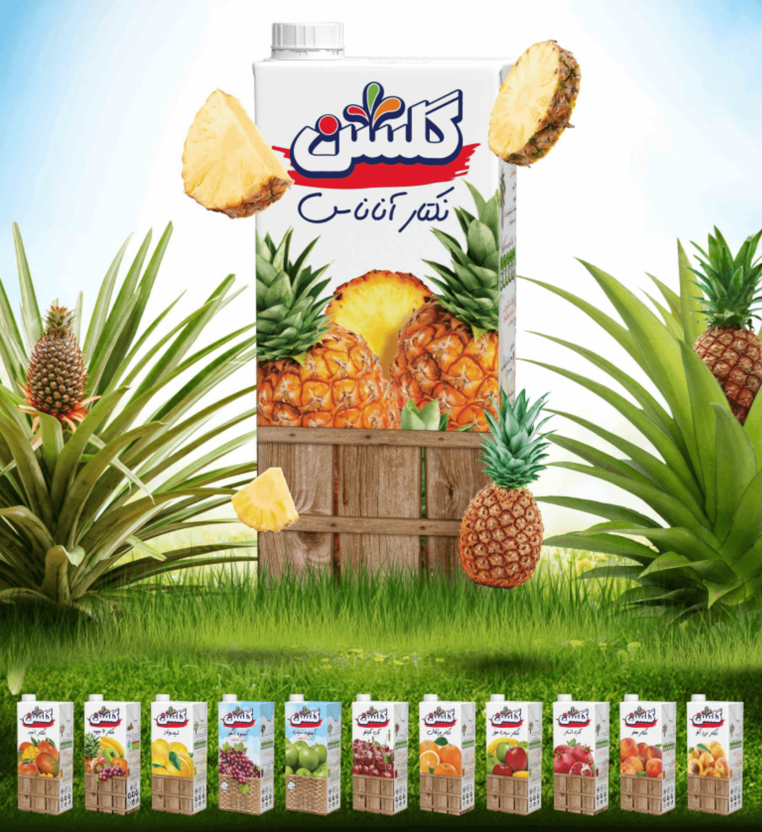 Golsun Pineapple Juice Drink (UHT)