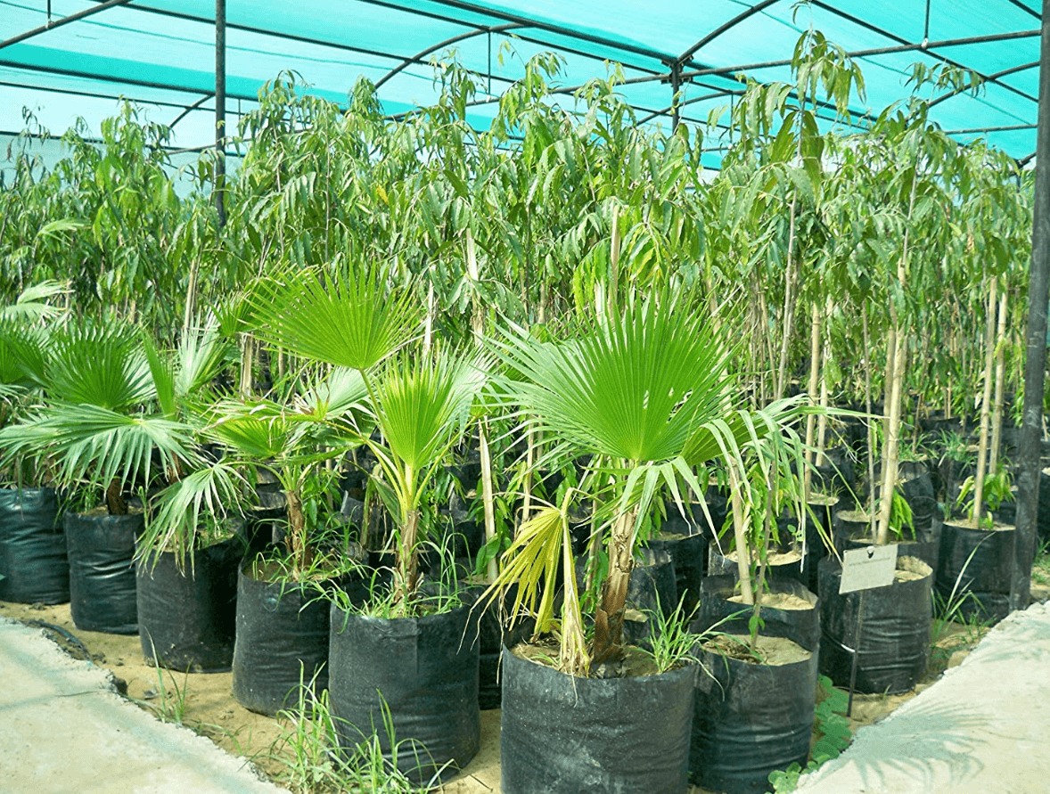  Nylon Agricultural Seedling Bags