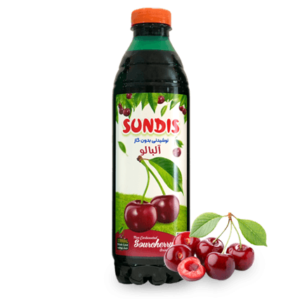 SUNDIS Assorted Fruit Juice Drinks  1 Liter PET Bottle