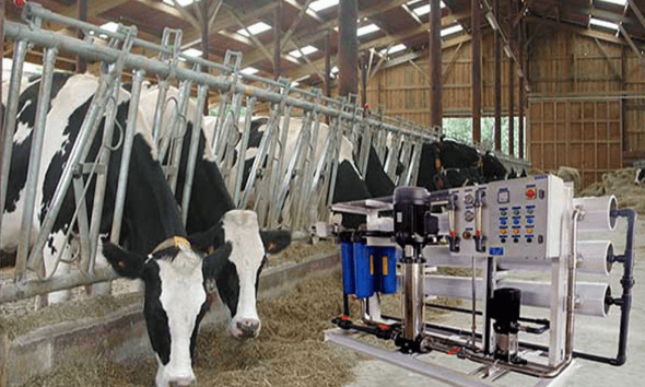 Livestock Water Desalination