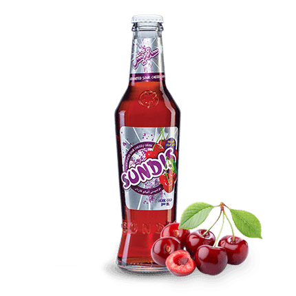 SUNDIS Assorted Sparkling Fruit Drinks  250 ml Glass Bottle