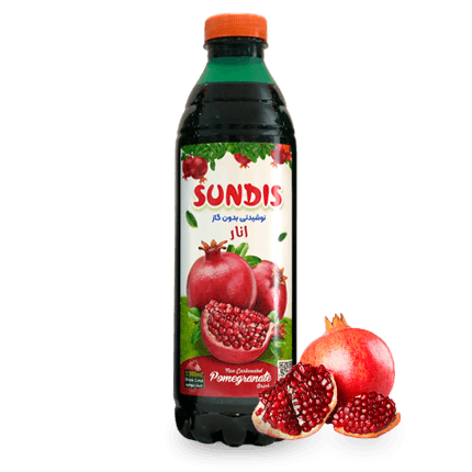 SUNDIS Assorted Fruit Juice Drinks  1 Liter PET Bottle