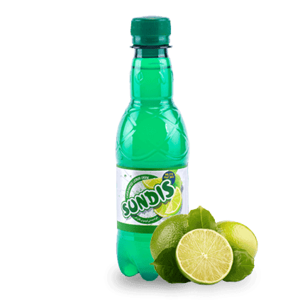 SUNDIS Assorted Sparkling Fruit Drinks  PET Bottle (Mini Size)