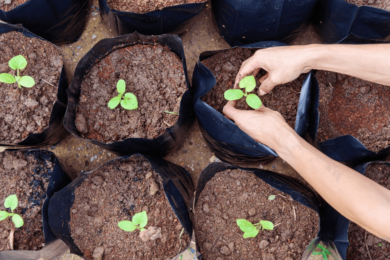  Nylon Agricultural Seedling Bags