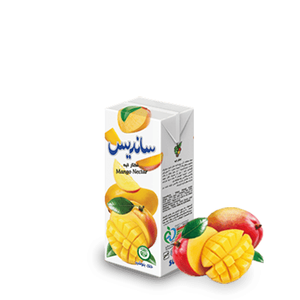 Sanariss Assorted Fruit Nectar 200 ml Tetra Pak