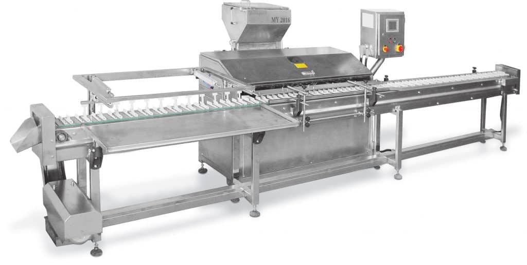 Industrial Food Injection & Depositing Machine (Automatic Injection System)