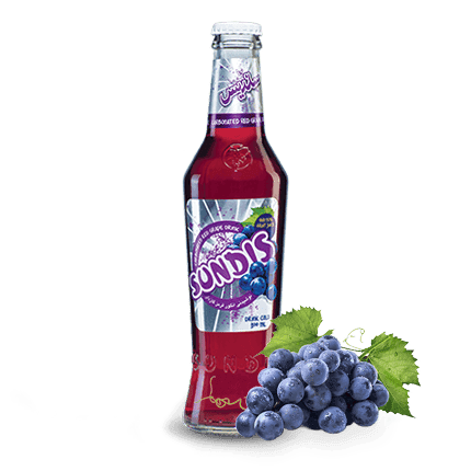 SUNDIS Assorted Sparkling Fruit Drinks  250 ml Glass Bottle