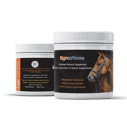 Bonzahorse