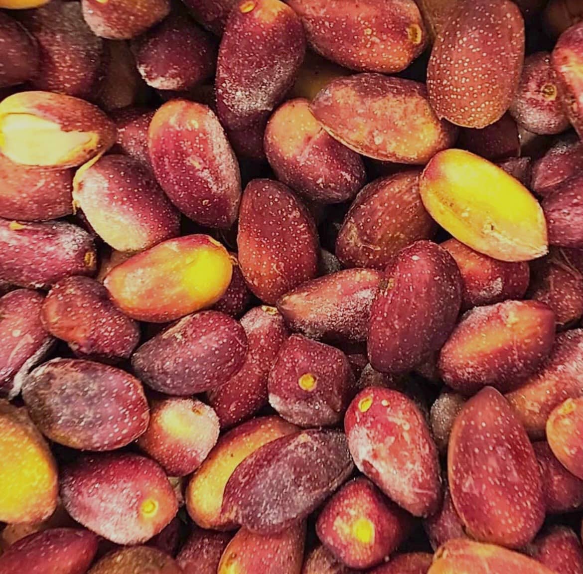 Premium Fresh Raw Pistachio Nuts