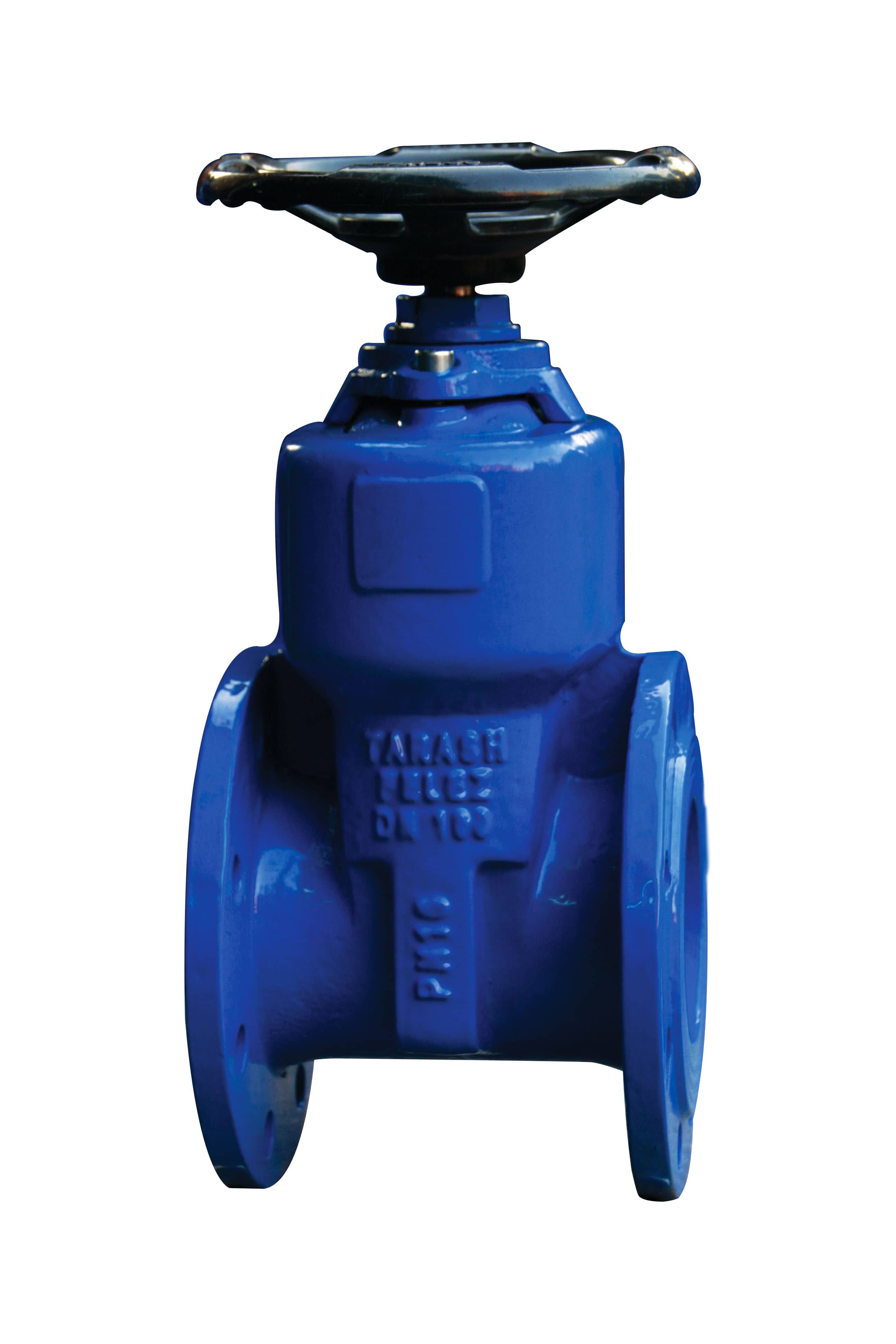 Industrial Cast Iron Rising Stem Gate Valve