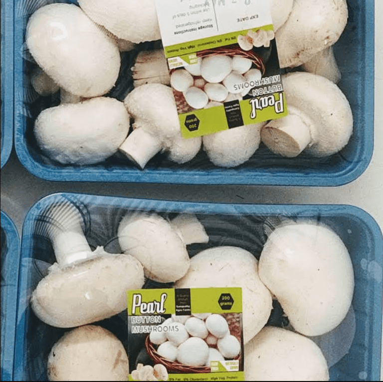 nylon - laminate for mushroom packaging