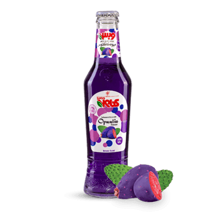 KIDS Assorted Sparkling Fruit Drinks  250 ml Glass Bottle