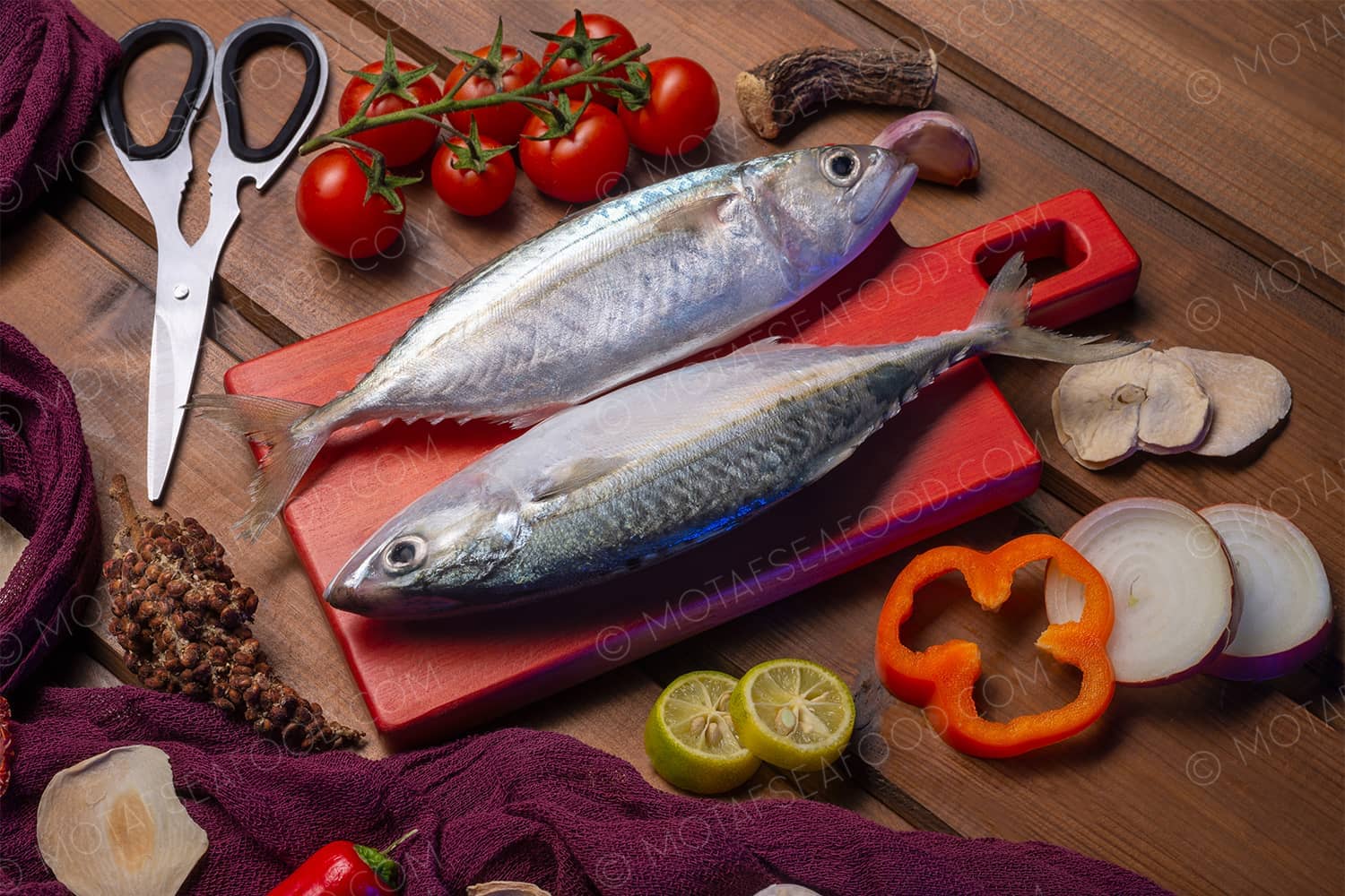 Indian Mackerel or bigmouth mackerel