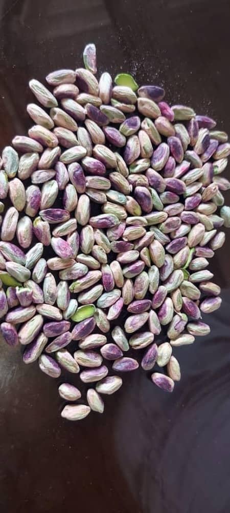 Wholesale Organic Pistachio kernels