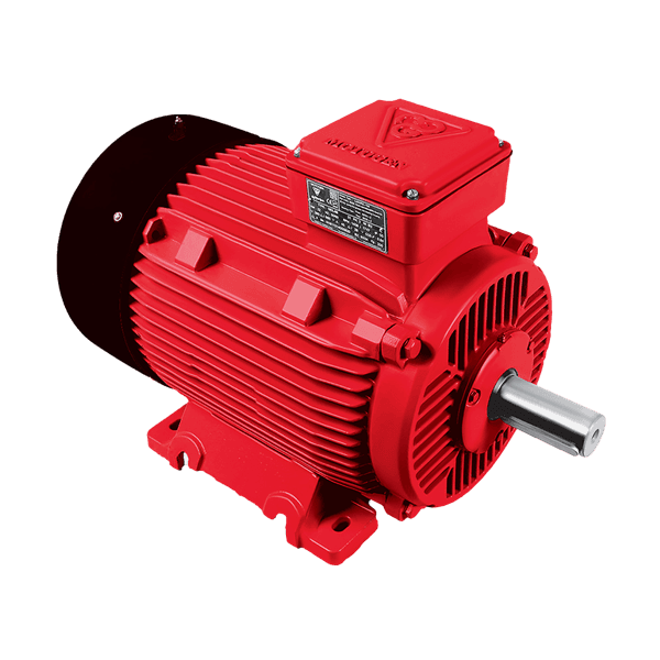 Single-speed three-phase induction electromotor with cast iron frame 200L4 30-1500 55H 380/660 Progressive