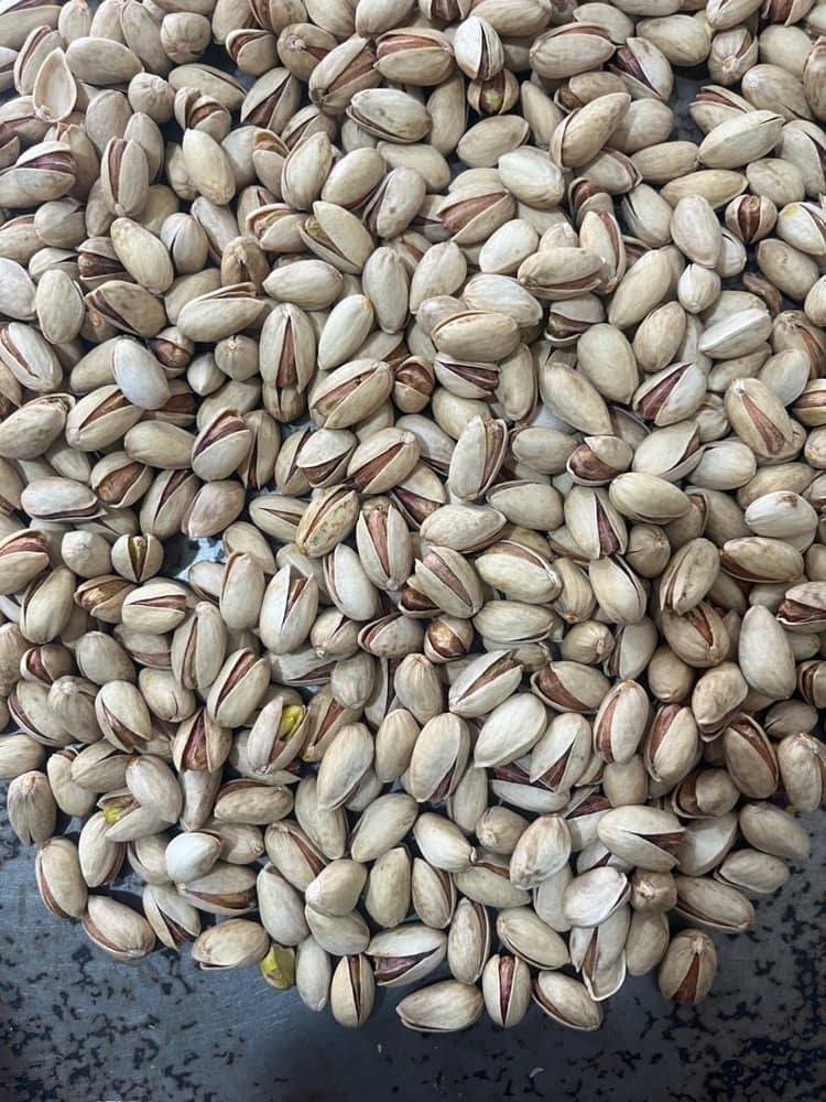 Wholesale Organic Health Food Pistachio Nuts