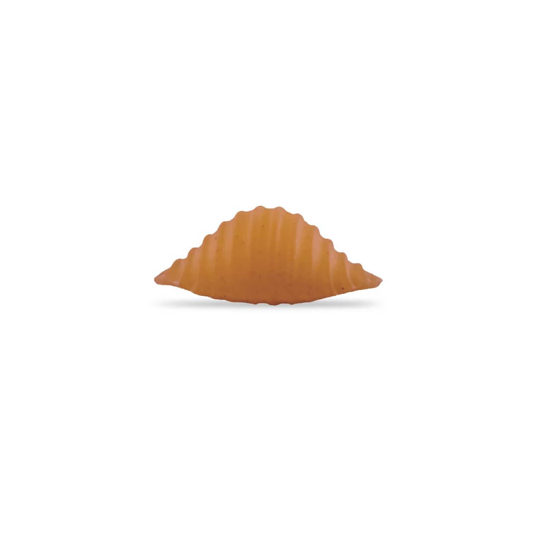 Tak Makaron Whole Wheat Shells Pasta