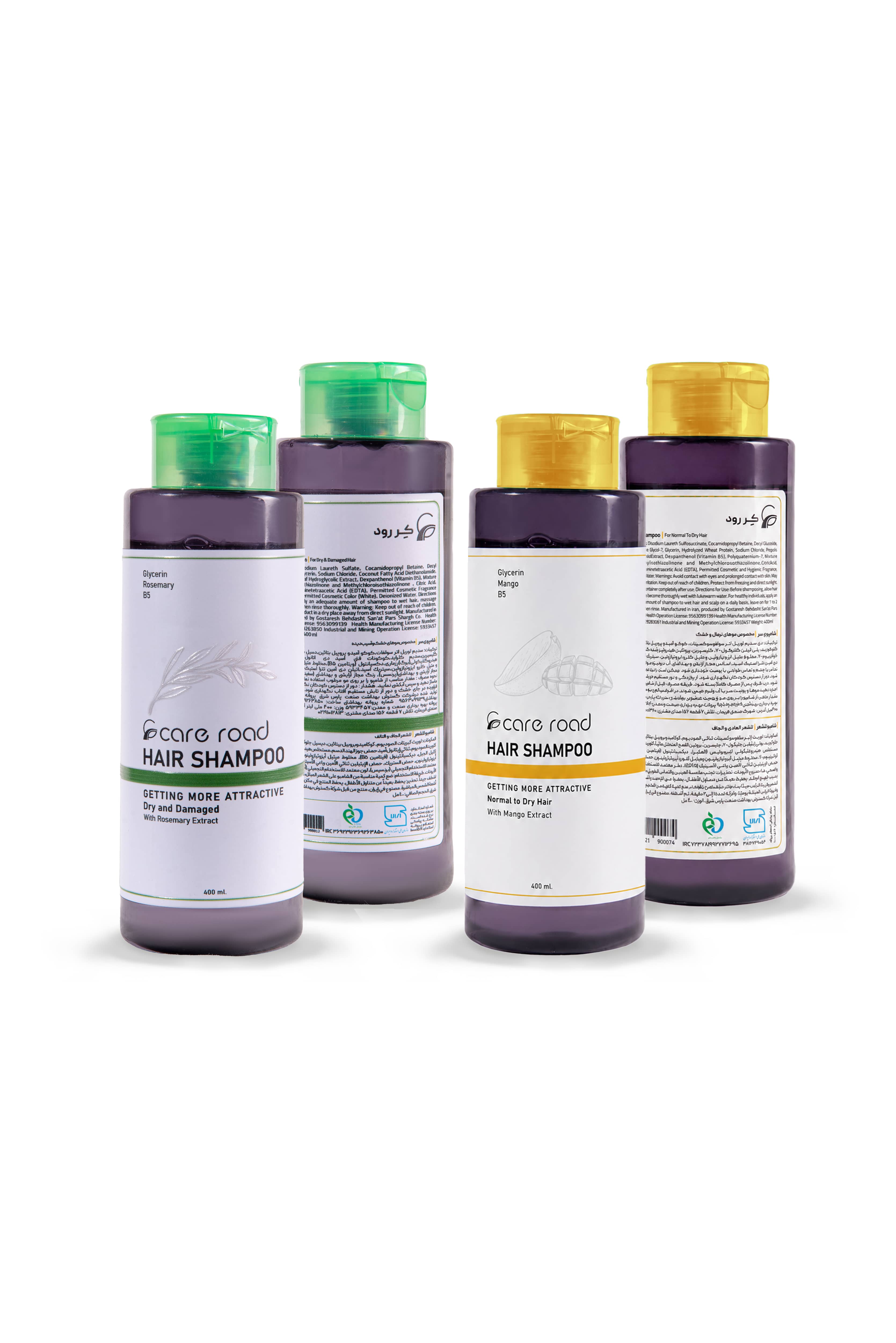 Nourishing Rosemary and Mango Extract Hair Shampoo for Refreshing, Strengthening, and Revitalizing Hair Care
