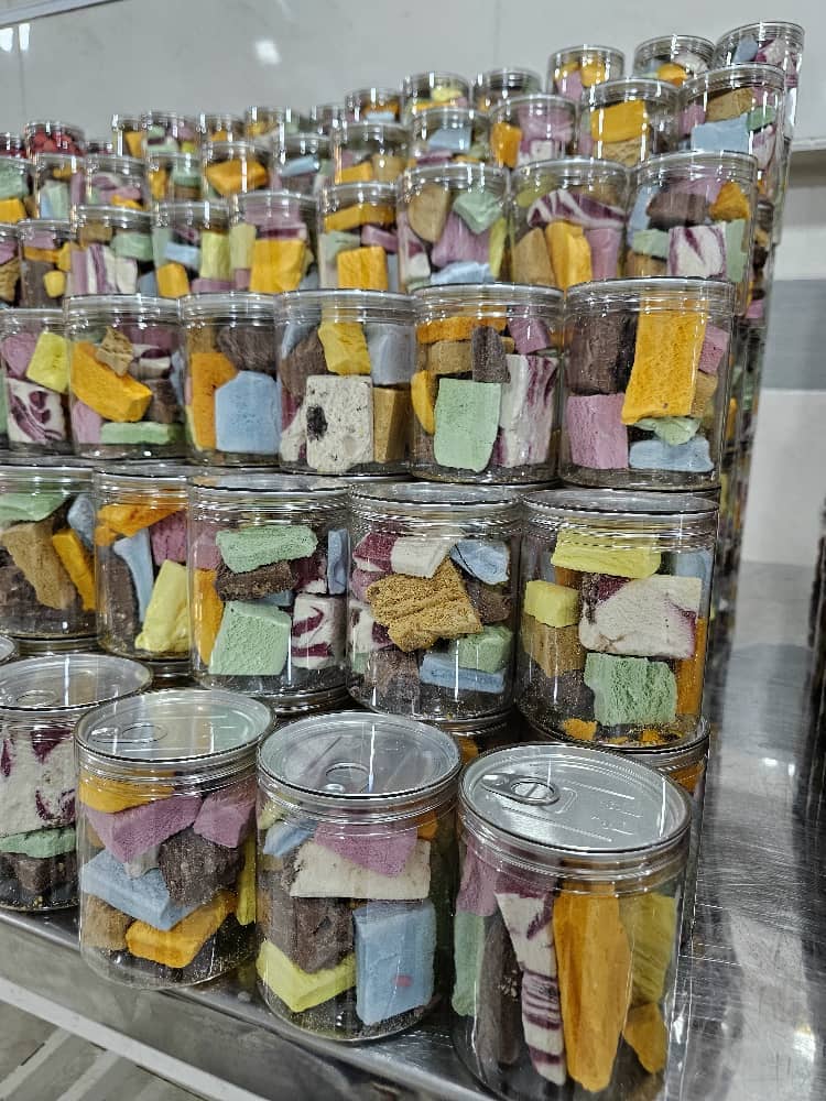 Freeze-Dried Fruits 