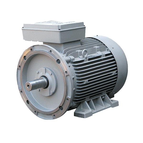 Single-speed three-phase induction electromotor with cast iron frame 315S4C 160-1500 55F 380/660 B35