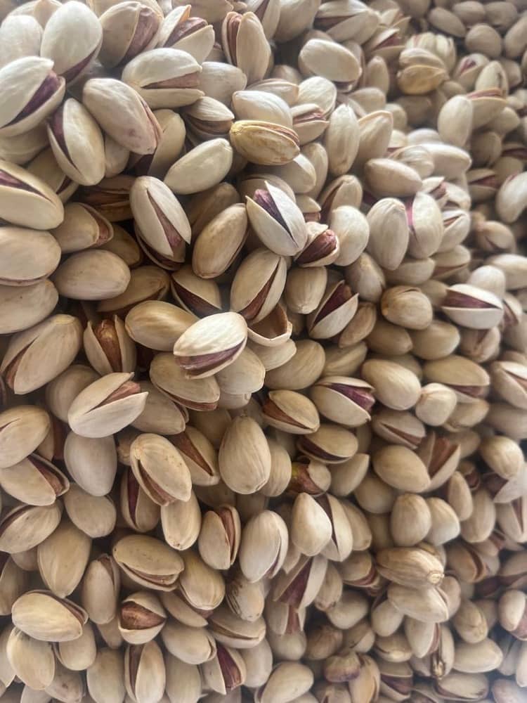 Wholesale Organic Health Food Pistachio Nuts
