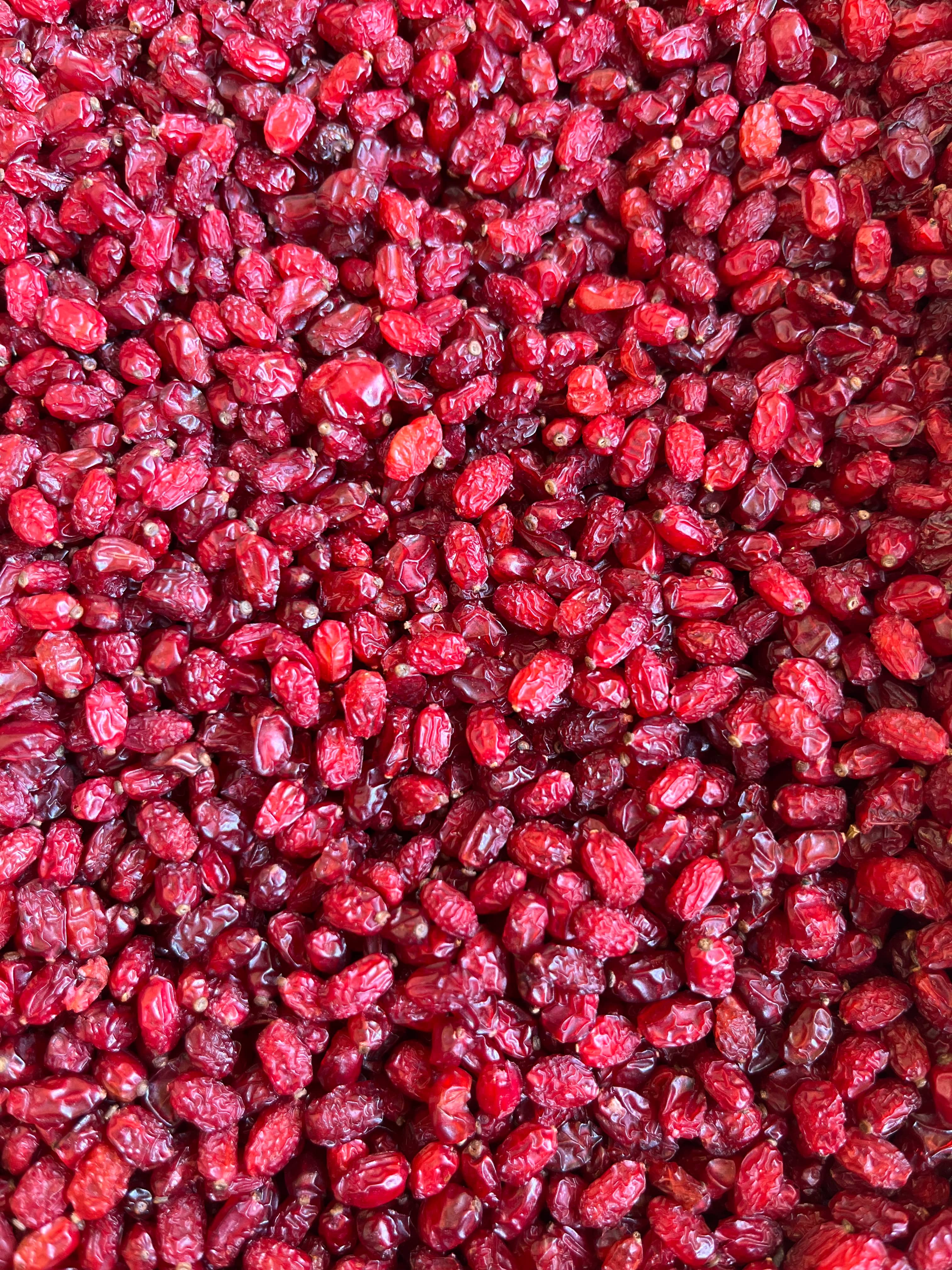 Premium Iranian Puffy Dried Barberries 10kg