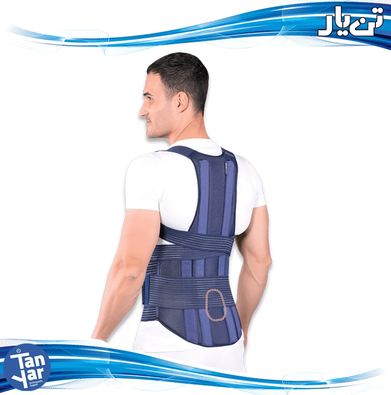 Export-Grade Long TLSO Back Brace