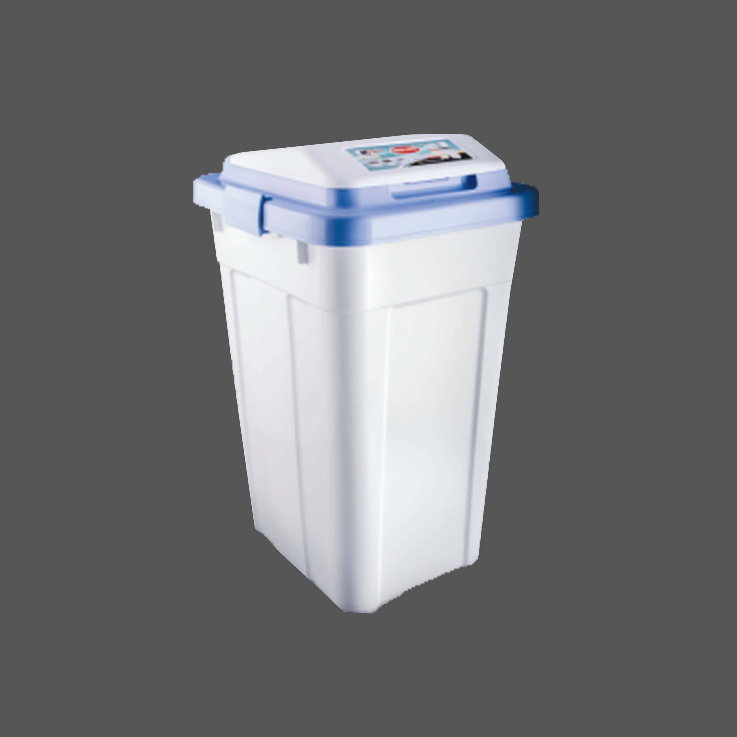Big dust bin 