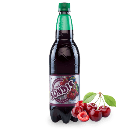 SUNDIS Assorted Sparkling Fruit Drinks 1 Liter PET Bottle