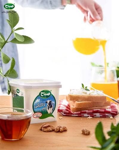 Lactic Cheese with cumib-Polypropylen, IML, Can Packaging