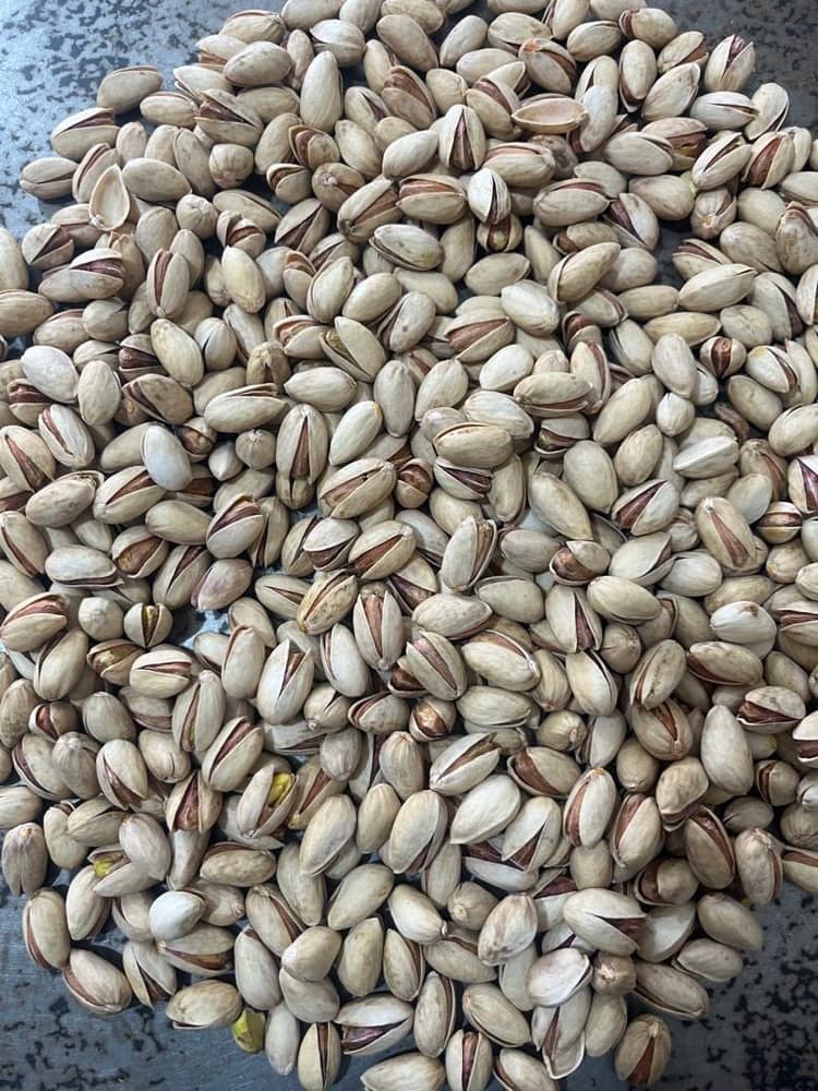 Wholesale Organic Health Food Pistachio Nuts