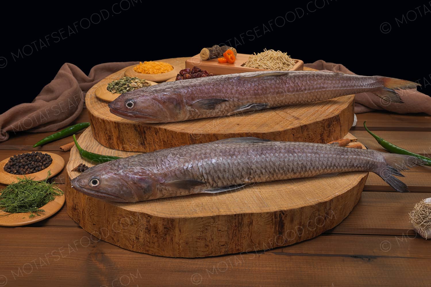 Lizard Fish