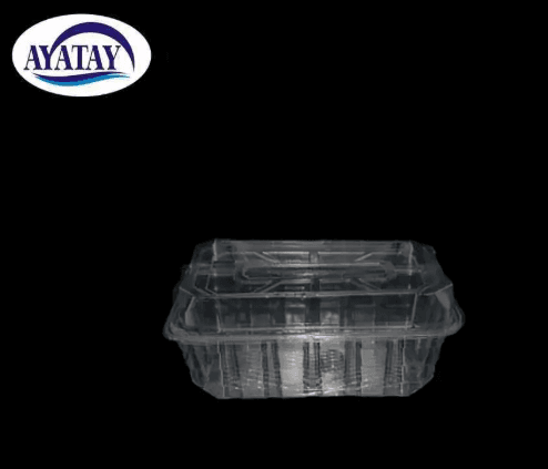 Disposable container 4000 cc with lid