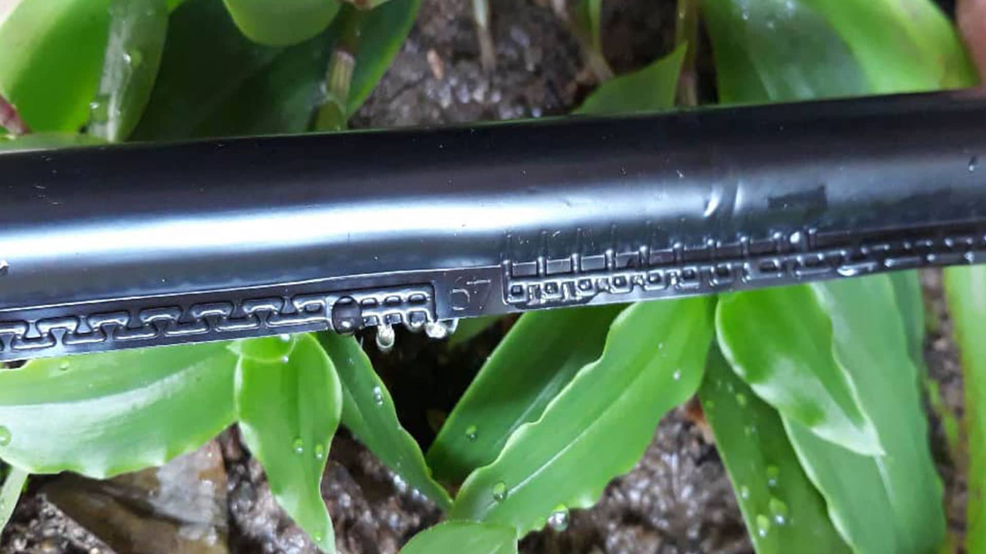 Side-Sealed Drip Irrigation Tape (T-Tape)
