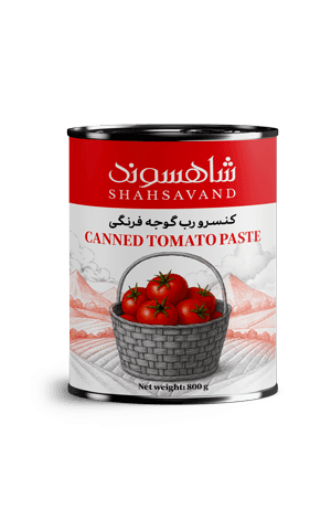 Easy-Open Canned Tomato Paste  800 g