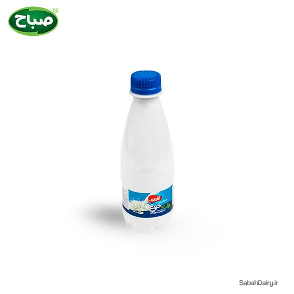 Traditional Iranian Mint Yogurt Drink (Doogh)(Kefir&Fermented)